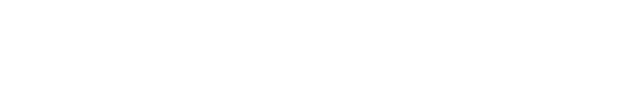 VERTIK